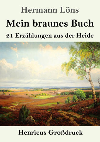 Mein braunes Buch (Großdruck)
