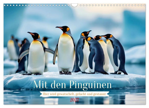 Mit den Pinguinen (Wandkalender 2027 DIN A3 quer), CALVENDO Monatskalender