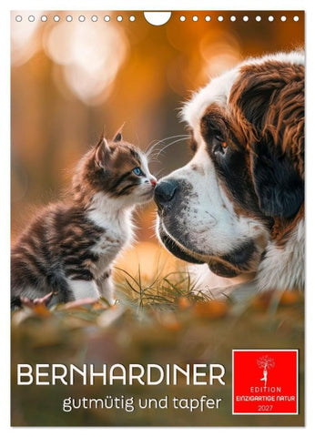 Bernhardiner - gutmütig und tapfer (Wandkalender 2027 DIN A4 hoch), CALVENDO Monatskalender