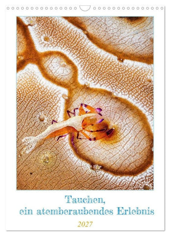Tauchen, ein atemberaubendes Erlebnis (Wandkalender 2027 DIN A3 hoch), CALVENDO Monatskalender