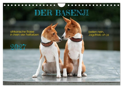 Der Basenji (Wandkalender 2027 DIN A4 quer), CALVENDO Monatskalender