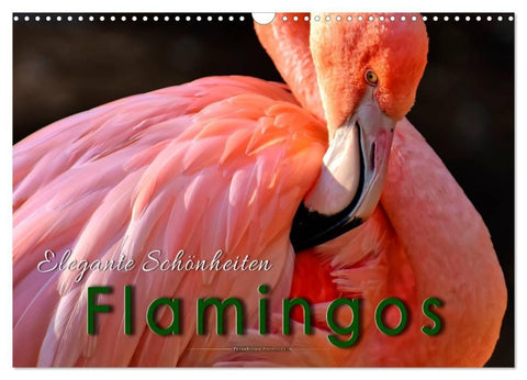 Flamingos - elegante Schönheiten (Wandkalender 2027 DIN A3 quer), CALVENDO Monatskalender