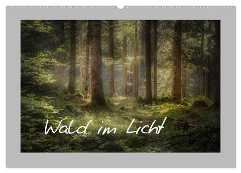 Wald im Licht (Wandkalender 2027 DIN A2 quer), CALVENDO Monatskalender