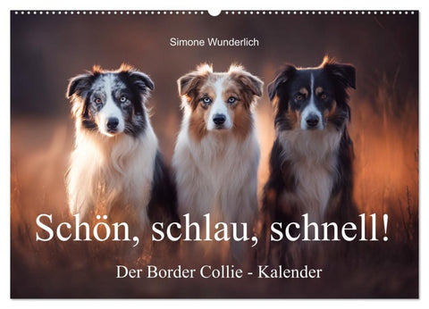 Schön, schlau, schnell! - Der Border Collie - Kalender (Wandkalender 2026 DIN A2 quer), CALVENDO Monatskalender