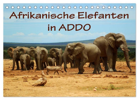 Afrikanische Elefanten in ADDO (Tischkalender 2027 DIN A5 quer), CALVENDO Monatskalender