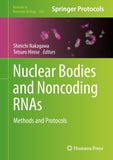 Nuclear Bodies and Noncoding RNAs