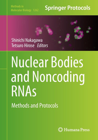 Nuclear Bodies and Noncoding RNAs