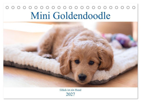 Mini Goldendoodle - Glück ist ein Hund (Tischkalender 2027 DIN A5 quer), CALVENDO Monatskalender