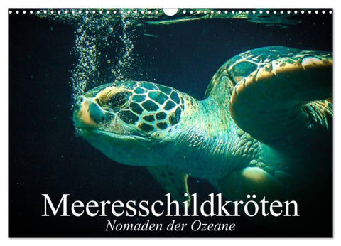Meeresschildkröten. Nomaden der Ozeane (Wandkalender 2026 DIN A3 quer), CALVENDO Monatskalender