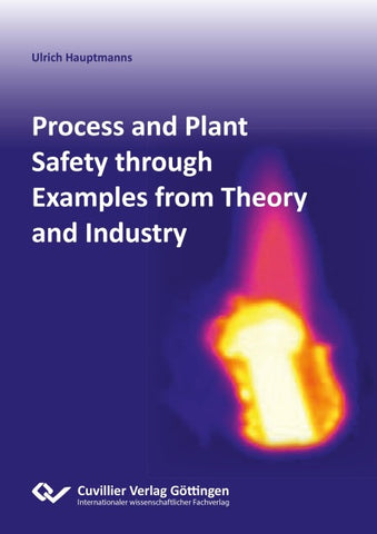 Process and Plant Safety through Examples from Theory and Industry