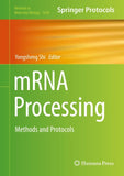 mRNA Processing