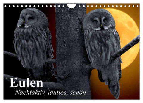 Eulen. Nachtaktiv, lautlos, schön (Wandkalender 2026 DIN A4 quer), CALVENDO Monatskalender
