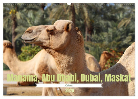 Orient - Manama, Abu Dhabi, Dubai, Maskat (Wandkalender 2026 DIN A2 quer), CALVENDO Monatskalender