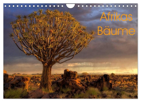 Afrikas Bäume (Wandkalender 2027 DIN A4 quer), CALVENDO Monatskalender