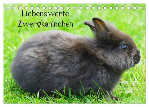 Liebenswerte Zwergkaninchen (Tischkalender 2027 DIN A5 quer), CALVENDO Monatskalender