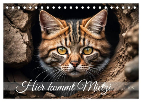Hier kommt Mietzi (Tischkalender 2027 DIN A5 quer), CALVENDO Monatskalender