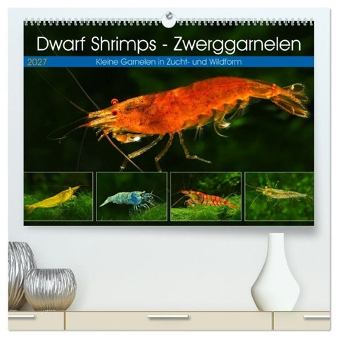Dwarf Shrimps - Zwerggarnelen (hochwertiger Premium Wandkalender 2027 DIN A2 quer), Kunstdruck in Hochglanz