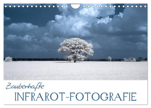 Zauberhafte Infrarot-Fotografie (Wandkalender 2026 DIN A4 quer), CALVENDO Monatskalender