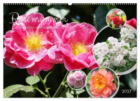 Rosensommer (Wandkalender 2027 DIN A2 quer), CALVENDO Monatskalender