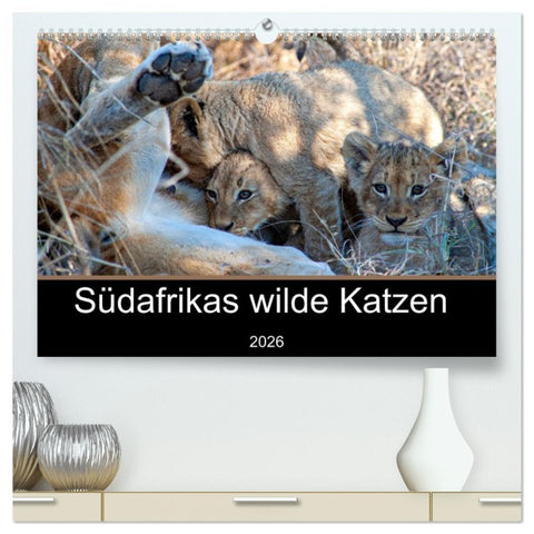 Südafrikas wilde Katzen (hochwertiger Premium Wandkalender 2026 DIN A2 quer), Kunstdruck in Hochglanz