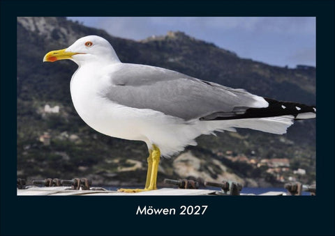Möwen 2027 Fotokalender DIN A4
