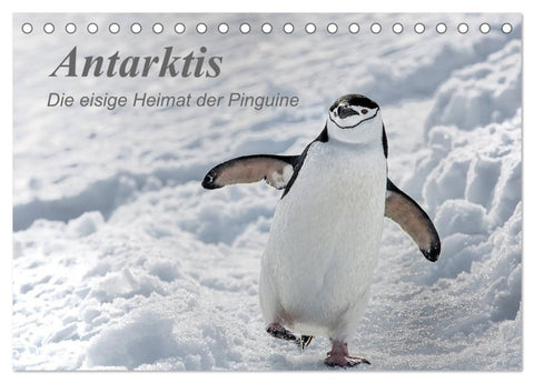 Antarktis, die eisige Heimat der Pinguine (Tischkalender 2026 DIN A5 quer), CALVENDO Monatskalender