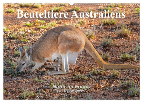 Beuteltiere Australiens (Wandkalender 2027 DIN A2 quer), CALVENDO Monatskalender