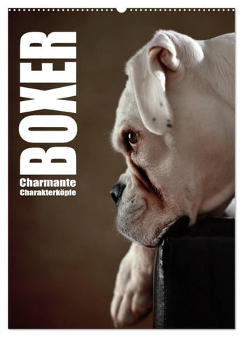 Boxer - Charmante Charakterköpfe (Wandkalender 2027 DIN A2 hoch), CALVENDO Monatskalender