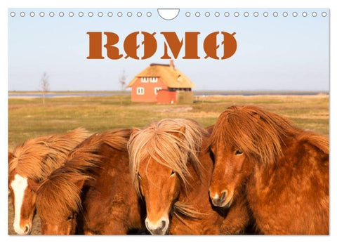 Rømø (Wandkalender 2027 DIN A4 quer), CALVENDO Monatskalender
