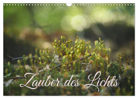 Zauber des Lichts (Wandkalender 2027 DIN A3 quer), CALVENDO Monatskalender
