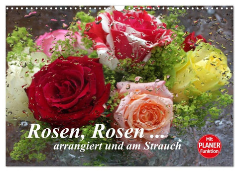 Rosen, Rosen ... arrangiert und am Strauch (Wandkalender 2026 DIN A3 quer), CALVENDO Monatskalender