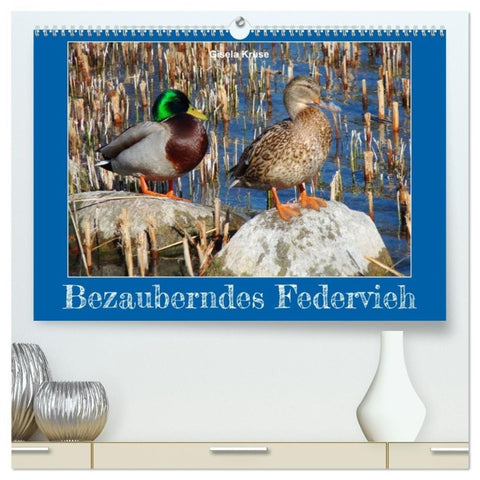Bezauberndes Federvieh (hochwertiger Premium Wandkalender 2027 DIN A2 quer), Kunstdruck in Hochglanz