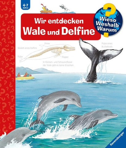 Wieso? Weshalb? Warum? Band 41 - Wir entdecken Wale und Delfine