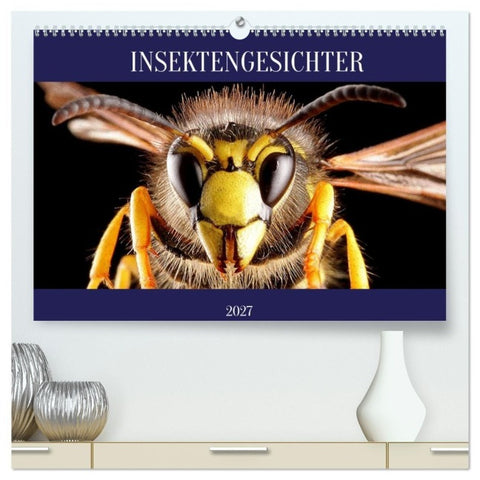 INSEKTENGESICHTER (hochwertiger Premium Wandkalender 2027 DIN A2 quer), Kunstdruck in Hochglanz