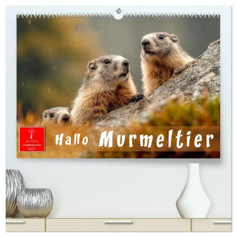 Hallo Murmeltier (hochwertiger Premium Wandkalender 2027 DIN A2 quer), Kunstdruck in Hochglanz
