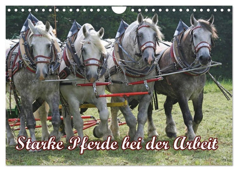 Starke Pferde bei der Arbeit (Wandkalender 2027 DIN A4 quer), CALVENDO Monatskalender