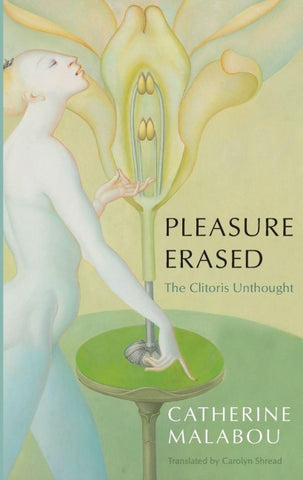Pleasure Erased