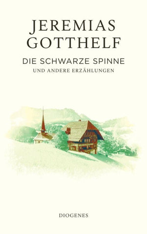 Die schwarze Spinne