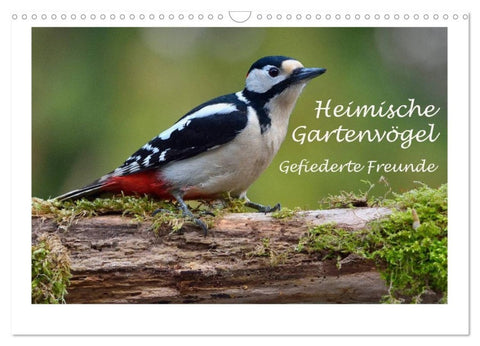 Heimische Gartenvögel - Gefiederte Freunde (Wandkalender 2027 DIN A3 quer), CALVENDO Monatskalender