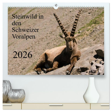 Steinwild in den Schweizer Voralpen (hochwertiger Premium Wandkalender 2026 DIN A2 quer), Kunstdruck in Hochglanz