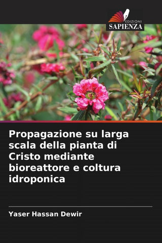 Propagazione su larga scala della pianta di Cristo mediante bioreattore e coltura idroponica