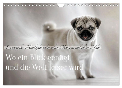 Wo ein Blick genügt und die Welt leiser wird (Wandkalender 2027 DIN A4 quer), CALVENDO Monatskalender