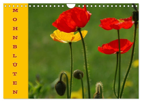 MOHNBLÜTEN (Wandkalender 2027 DIN A4 quer), CALVENDO Monatskalender