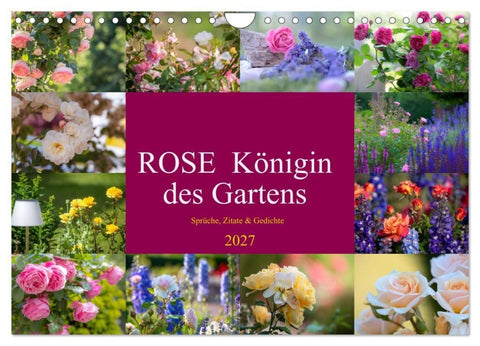 Rose Königin des Gartens (Wandkalender 2027 DIN A4 quer), CALVENDO Monatskalender