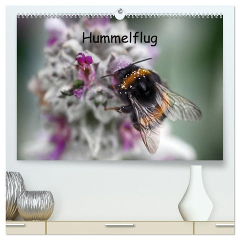 Hummelflug (hochwertiger Premium Wandkalender 2027 DIN A2 quer), Kunstdruck in Hochglanz