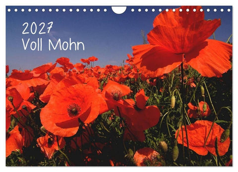 Voll Mohn (Wandkalender 2027 DIN A4 quer), CALVENDO Monatskalender