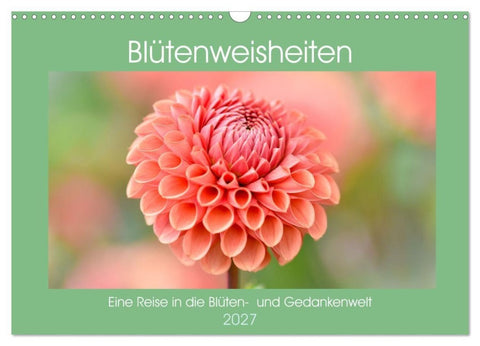 Blütenweisheiten (Wandkalender 2027 DIN A3 quer), CALVENDO Monatskalender