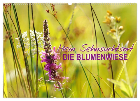 Mein Sehnsuchtsort, die Blumenwiese (Wandkalender 2027 DIN A2 quer), CALVENDO Monatskalender