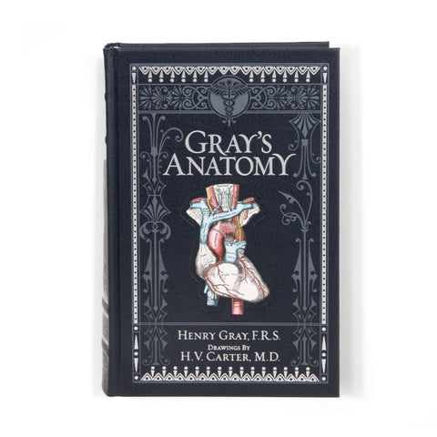 Gray's Anatomy (Barnes & Noble Collectible Classics: Omnibus Edition)