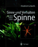Sinne und Verhalten: aus dem Leben einer Spinne